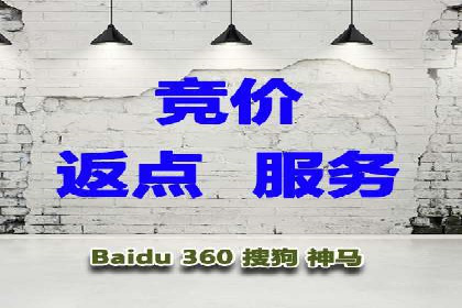 探索sem竞价广告的奥秘：从案例看效果提升